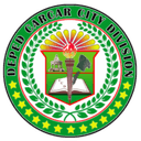 Carcar City